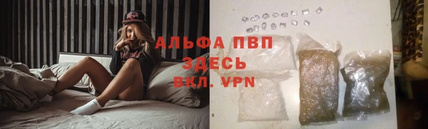 СК Абинск