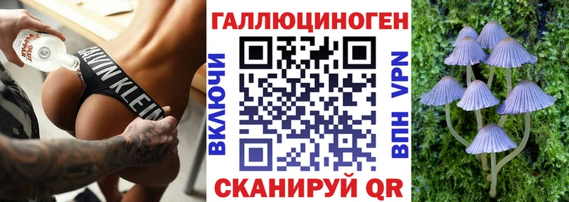 Псилоцибиновые грибы GOLDEN TEACHER  Суздаль 